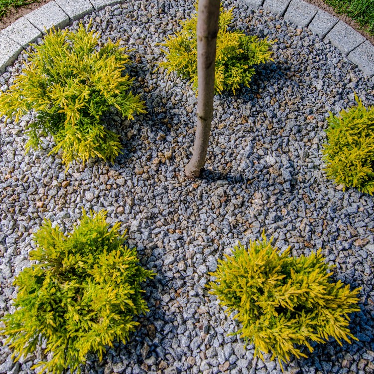 Landscaping in New London, Connecticut