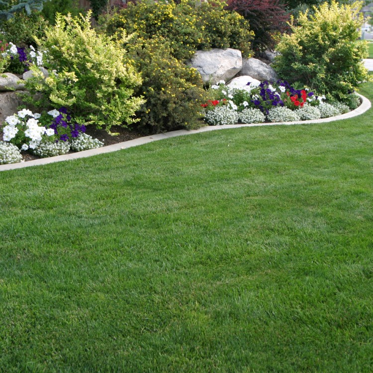 Landscaping in New London, Connecticut